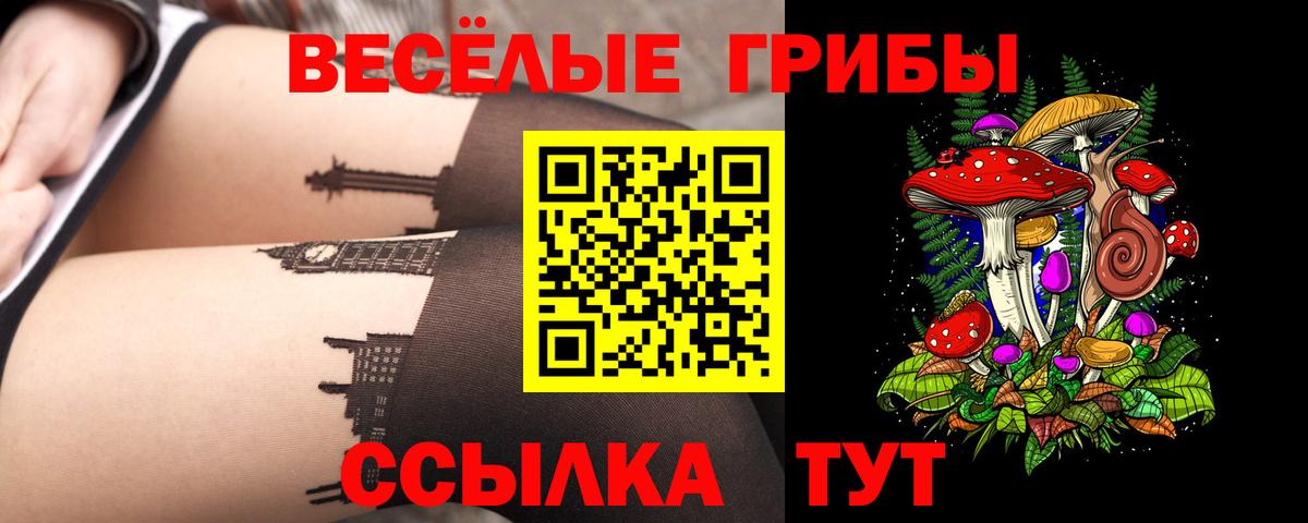 Псилоцибиновые грибы GOLDEN TEACHER  Галлюциногенные грибы мицелий  Курган  Вход с VPN 